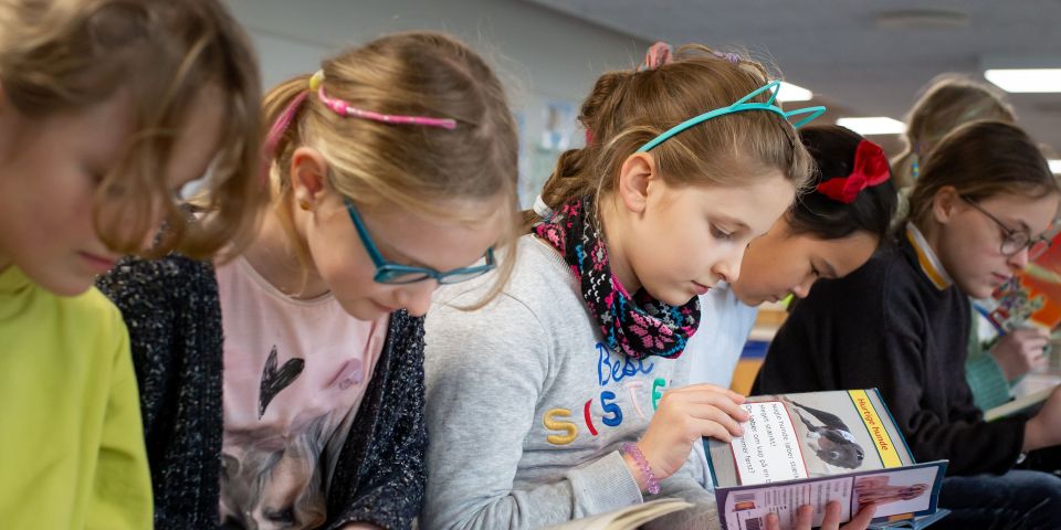Mellemtrinnet læser dansk