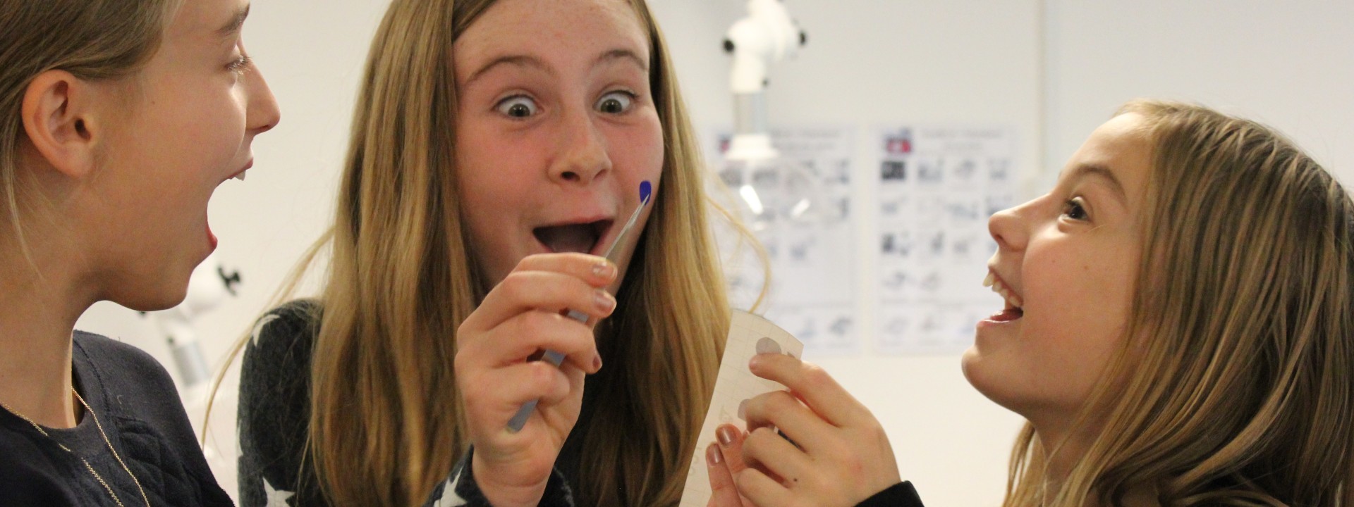 Tre piger kigger på pincet